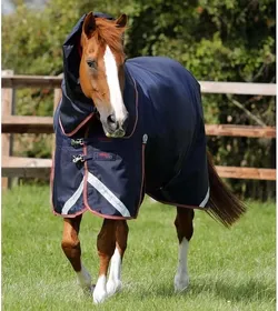 Meilleurs prix pour Couverture d'extérieur pour cheval avec couvre cou Premier Equine Titan Trio Complete