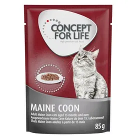 Comparer les prix de Maine Coon Adulte Concept for Life - Pâtée pour chat