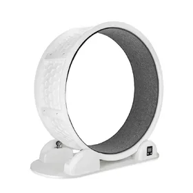 Comparer les prix de Roue d’exercice Modern Living Singapore pour chat - environ 1 m de diamètre, gris