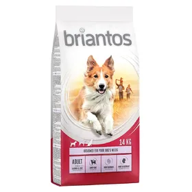 Meilleurs prix pour Briantos Adult saumon, riz - Croquettes pour chien