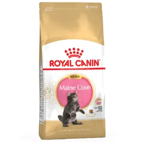 Comparer les prix de Kitten Maine Coon Royal Canin Croquettes pour chaton