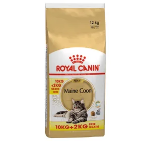 Meilleurs prix pour Maine Coon Adult Royal Canin Croquettes pour chat + 2 kg offerts !