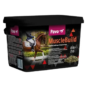 Meilleurs prix pour Pavo MuscleBuild 3 kg, nourriture pour chevaux