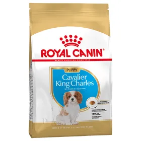 Comparer les prix de Cavalier King Charles Puppy Chiot Royal Canin - Croquettes pour chien