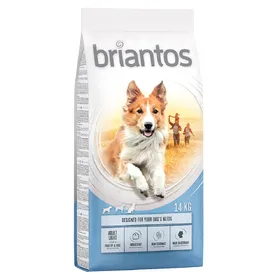 Comparer les prix de Briantos Adult Light - Croquettes pour chien
