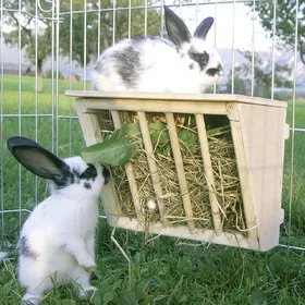 Meilleurs prix pour Mangeoire à foin avec plateforme pour rongeur et lapin L 25 x l 17 x H 20 cm