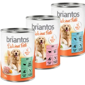 Meilleurs prix pour Offre d'essai Briantos Delicious Paté pour chien - 24 x 400 g