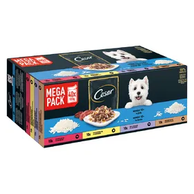 Meilleurs prix pour Sachets Cesar en gelée Senior 10+, nourriture humide pour chiens