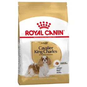 Meilleurs prix pour Adult Cavalier King Charles Royal Canin Breed - Croquettes pour chien