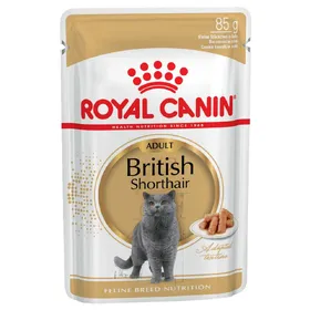 Meilleurs prix pour British Shorthair Royal Canin Breed - Sachets et Boîtes pour Chat