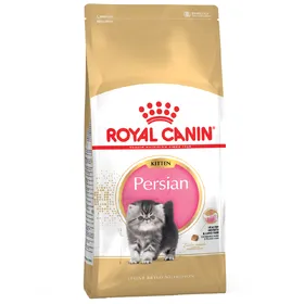 Meilleurs prix pour Kitten Persian Royal Canin Croquettes pour chaton