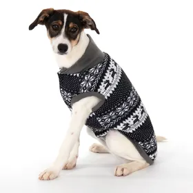 Comparer les prix de Pull-over norvégien pour chien - taille XXL : longueur du dos 45 cm