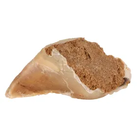 Comparer les prix de Pâté de viande Trixie - Friandises pour Chien
