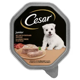 Meilleurs prix pour Barquettes Cesar pour chien 8, 14, 24 x 150 ou 24 x 100 g : 15 % de remise ! - Junior Schale dinde,veau (14 x 150 g)
