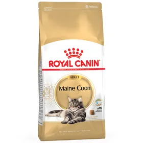 Meilleurs prix pour Maine Coon Royal Canin Croquettes pour chat