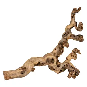Meilleurs prix pour Pied de vigne sablé pour terrarium Trixie 40 60 cm