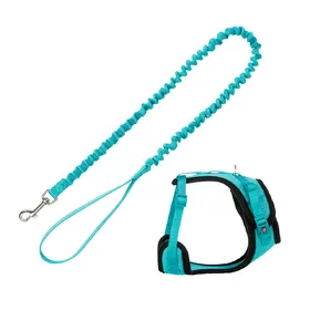 Comparer les prix de Harnais en Y Trixie en maille avec laisse extensible, turquoise - pour chat