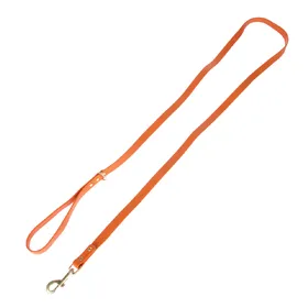 Meilleurs prix pour TIAKI  Laisse en PVC hydrofuge, orange, longueur : 200 cm, pour chien