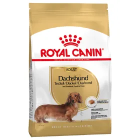 Meilleurs prix pour Teckel Adult Royal Canin - Croquettes pour chien