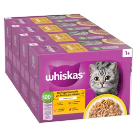 Meilleurs prix pour Mégapack Whiskas Adult 1+ Sélection de volaille en gelée - Pâtée pour chat