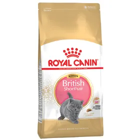 Meilleurs prix pour Kitten British Shorthair Royal Canin - Croquettes pour chaton British Shorthair