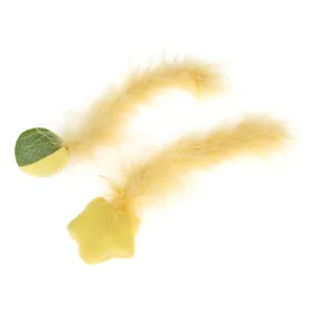 Meilleurs prix pour Lot de jouets pour chat balle et étoile TIAKI : 2pièces