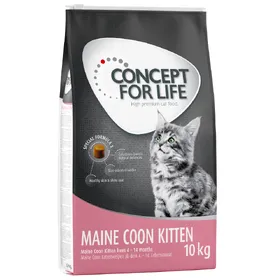 Comparer les prix de Lots économiques Concept for Life - Maine Coon Kitten (2 x 10 kg)