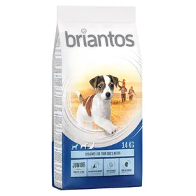 Meilleurs prix pour Junior Briantos - Croquettes pour Chien