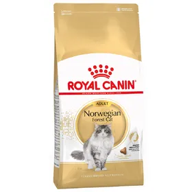 Meilleurs prix pour Norvégien Royal Canin Croquettes pour chat