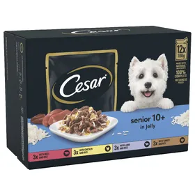 Meilleurs prix pour Cesar 10+ Senior Sélection en gelée - Pâtée pour chien