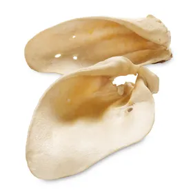 Meilleurs prix pour Friandises Oreilles de bœuf de Bavière Premium - pour chien