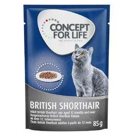Comparer les prix de British Shorthair Adult Concept for Life - Sachet pour chat