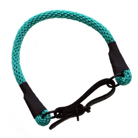 Meilleurs prix pour Collier en corde Heim, turquoise pour chien - taille 40 : tour de cou 33-38 cm, l 1,2 cm