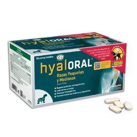 Comparer les prix de Hyaloral Chien Petite/Moyenne Race 90 Comprimés - Compléments Hyaloral pour chien
