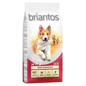 Meilleurs prix pour Briantos Adult poulet, riz - Croquettes pour chien