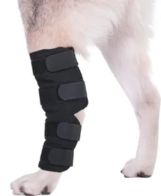 Meilleurs prix pour Paire d'attelle pour chien Zolia Orthopedic confortable en néoprène
