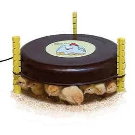 Comparer les prix de Couveuses NANNY HEN