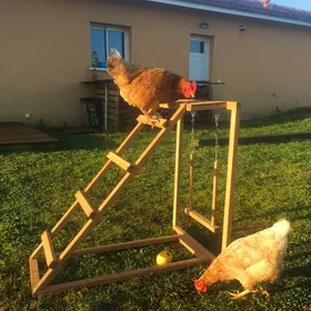 Comparer les prix de Aire de jeu pour poules Zolia Etta