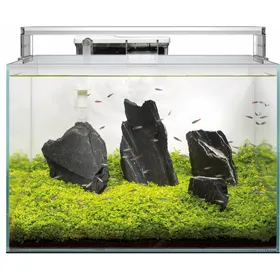 Meilleurs prix pour SuperFish Aquarium Scaper