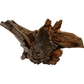 Meilleurs prix pour Racine naturelle DRIFTWOOD