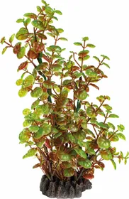 Meilleurs prix pour Plante artificielle Rotala - 25cm