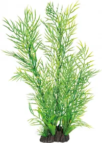 Comparer les prix de Plante artificielle Ceratopteris - 40cm