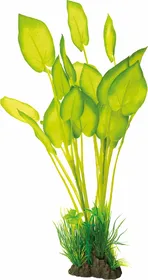 Comparer les prix de Plante artificielle Echinodorus - 40cm