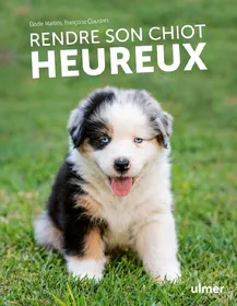 Meilleurs prix pour Rendre son chiot heureux