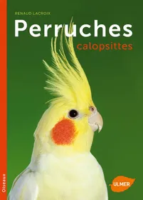 Comparer les prix de Perruches calopsittes