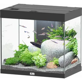 Comparer les prix de Aquatlantis Aquarium Splendid 60 - différentes couleurs