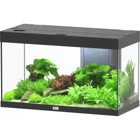 Comparer les prix de Aquatlantis Aquarium Volga 125 - plusieurs couleurs