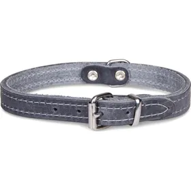 Meilleurs prix pour Collier cuir huilé pour chien - XS : 32cmx12mm