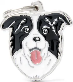 Comparer les prix de Médaille à graver Friends Border Collie