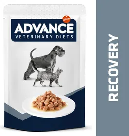 Comparer les prix de ADVANCE VETERINARY DIETS Dog&amp;Cat Recovery pâtée pour chien et chat